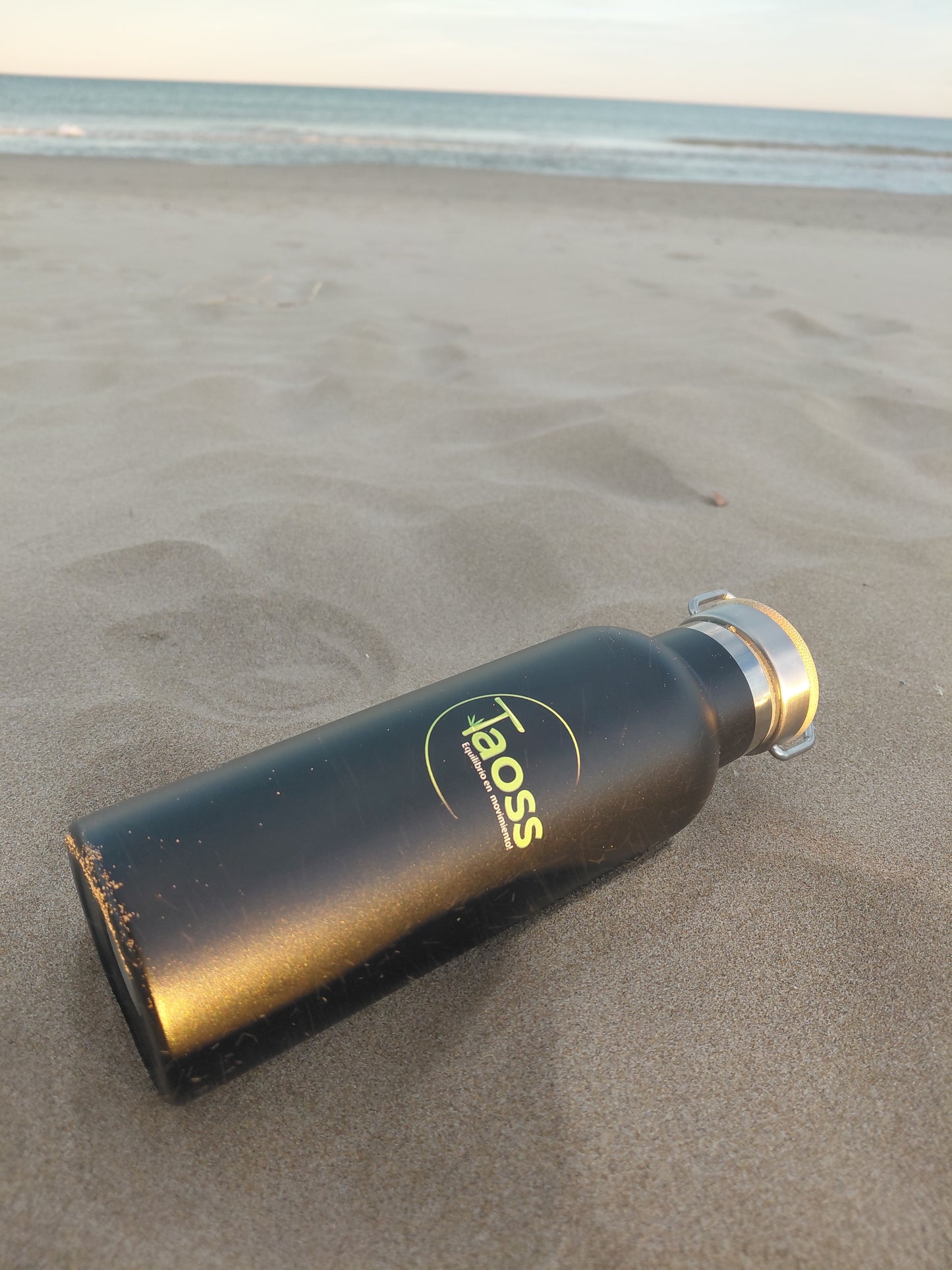 Termo Taoss 500ml Boca Ancha y Aislamiento